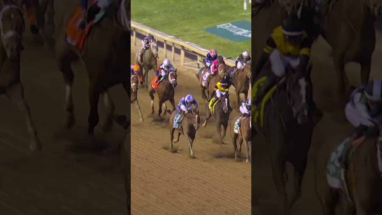 ALWAYS A RUNNER, ALWAYS A WINNER 🏇🔥
