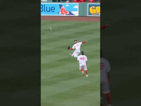 Now THAT is a nice catch 👀💨