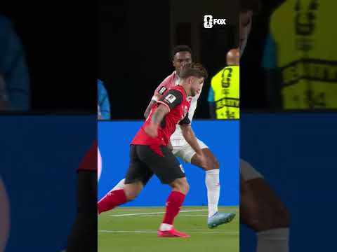 A truly BRILLIANT goal from Romano Schmid 🇦🇹