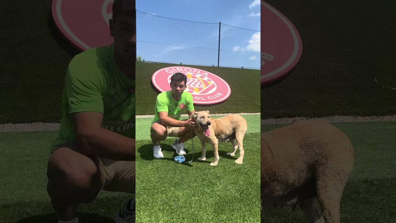 👋 Us presentem en Guacamole i la Petra🫂 Adoptar és donar una segona oportunitat