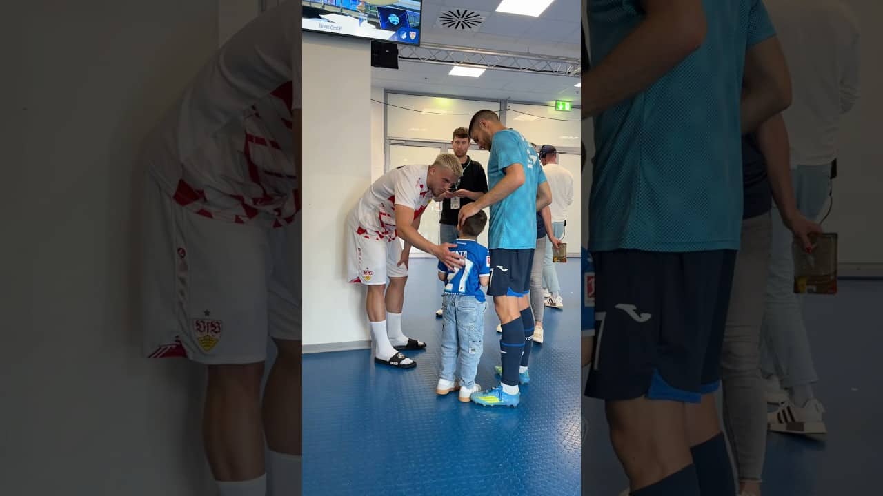 🇧🇦 Demirovic 🤝 Kramaric 🇭🇷 #Hoffenheim #AndrejKramaric #Demirovic