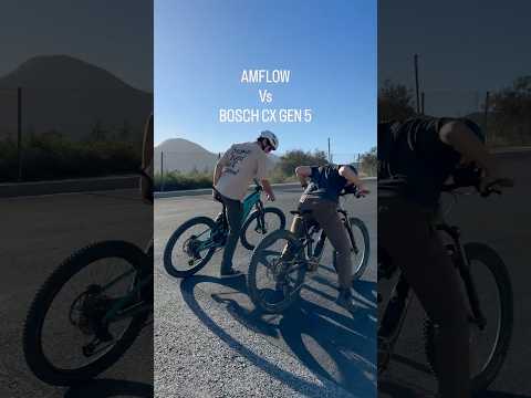 Avinox vs. Bosch CX Gen 5