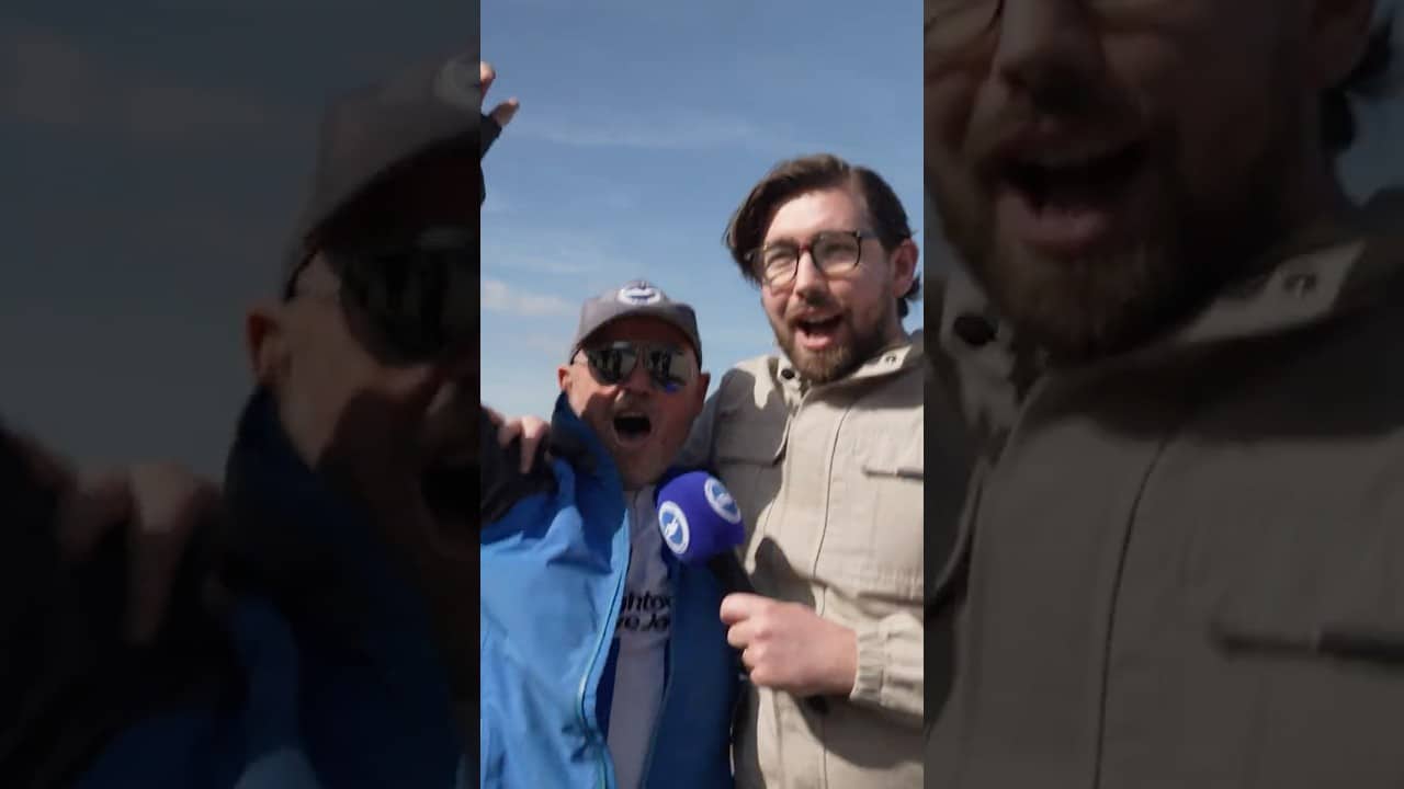 What is Brighton's BEST chant? 🤔