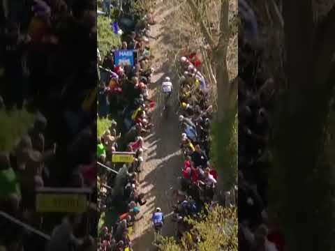 TADEJ POGACAR GETS HIS GAP 😱 But Mathieu van der Poel isn’t too far behind on the Oude Kwaermont! 👀