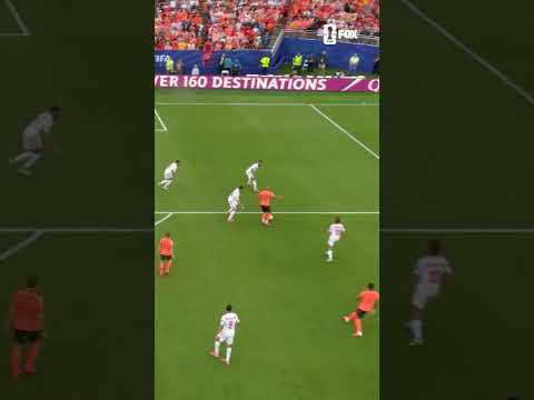 Ellyes Skhiri fires it into the back of his own net to put Netherlands in front