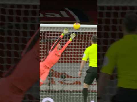 ILLAN MESLIER SUPER SAVE VS ARSENAL