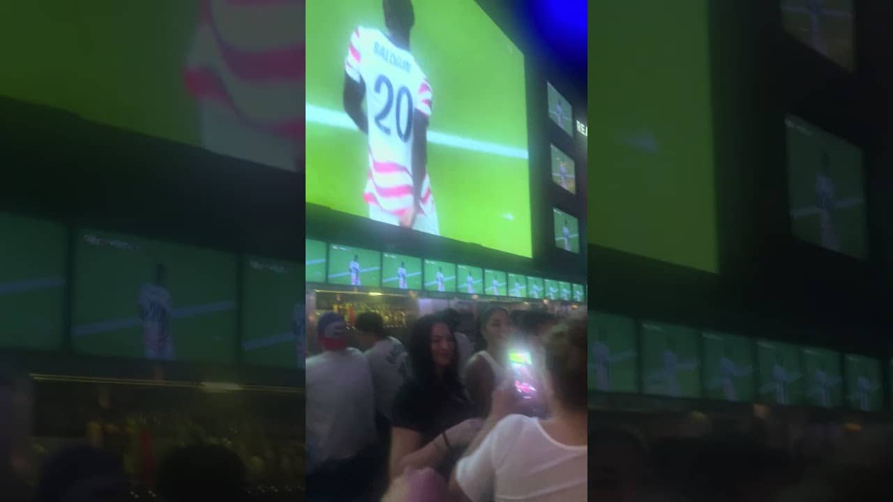 🇺🇸 Goalllllllll - United States vs Bosnia and Herzegovina