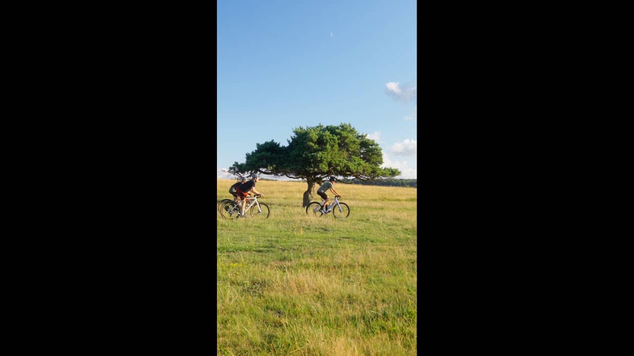 SRAM Apex | Never Out of Gears