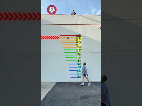 WHICH BALL BOUNCES THE HIGHEST!?