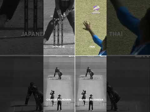 Watch Radha Yadav cleaning up Ritu Moni in a key win for India, in multiple languages 😍
