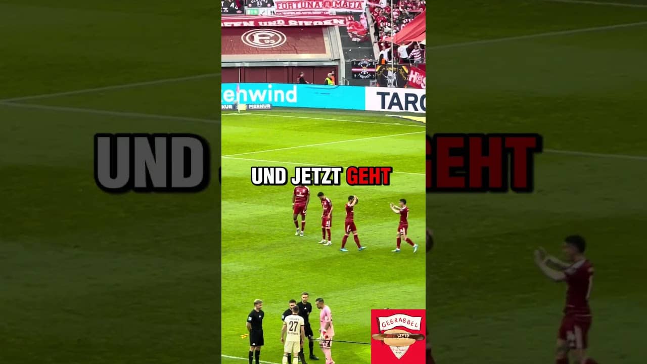 #120: 31. Spieltag: Dynamo Dresden (H) – Heimsieg des kleinen Mannes ✌️#f95sgd #f95 #shorts