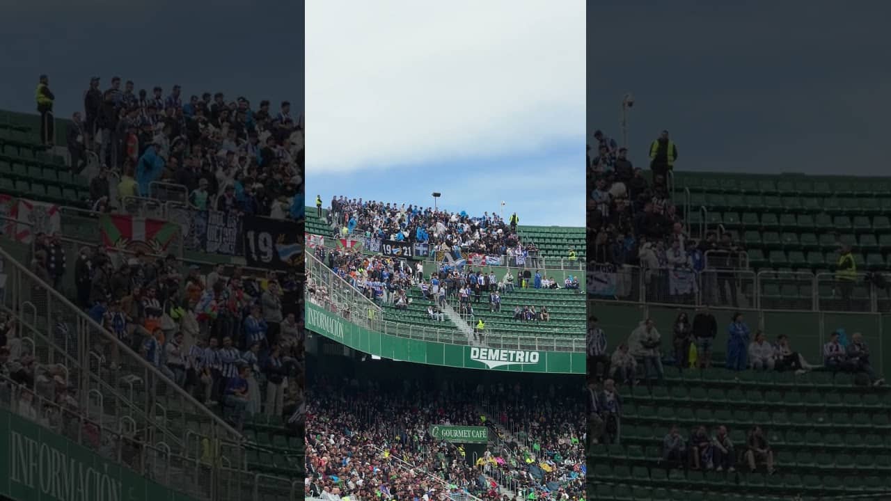 GOAZEN ⚪️🔵 #ElcheAlavés #GoazenGlorioso