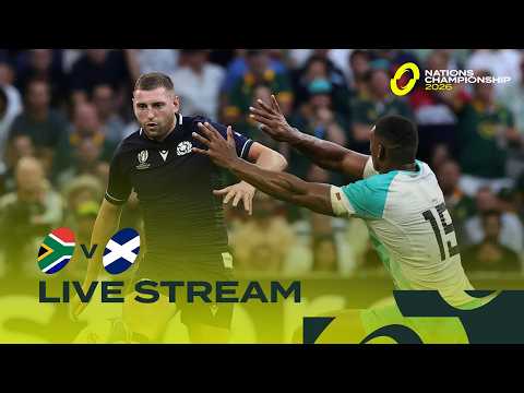 South Africa v Scotland | Nations Championship Live Match