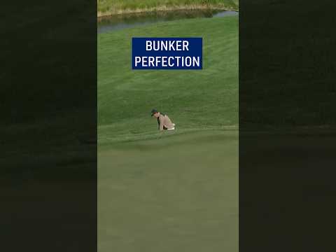 The PERFECT bunker shot! 😍