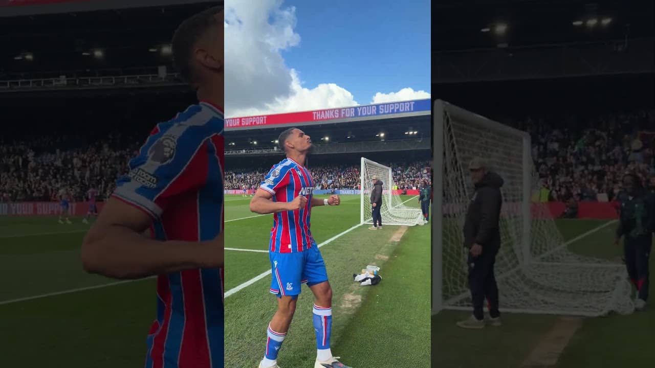 Je ne sais quois 👌 #football#crystalpalace