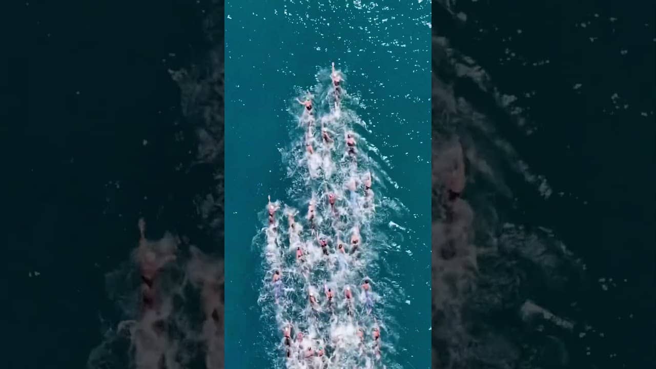 The beauty of Open Water Swimming 🏊 #openwaterswimming #openwater #drone #sea #pov #dronevideo
