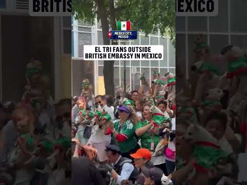 Mexico fans even brought out the dogs in jerseys ahead of facing England tomorrow 😂