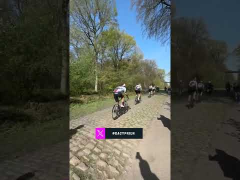 Blink and you'll miss it! Tadej Pogačar & UAE Team Emirates hit the Trouée d’Arenberg for a recon 🔥