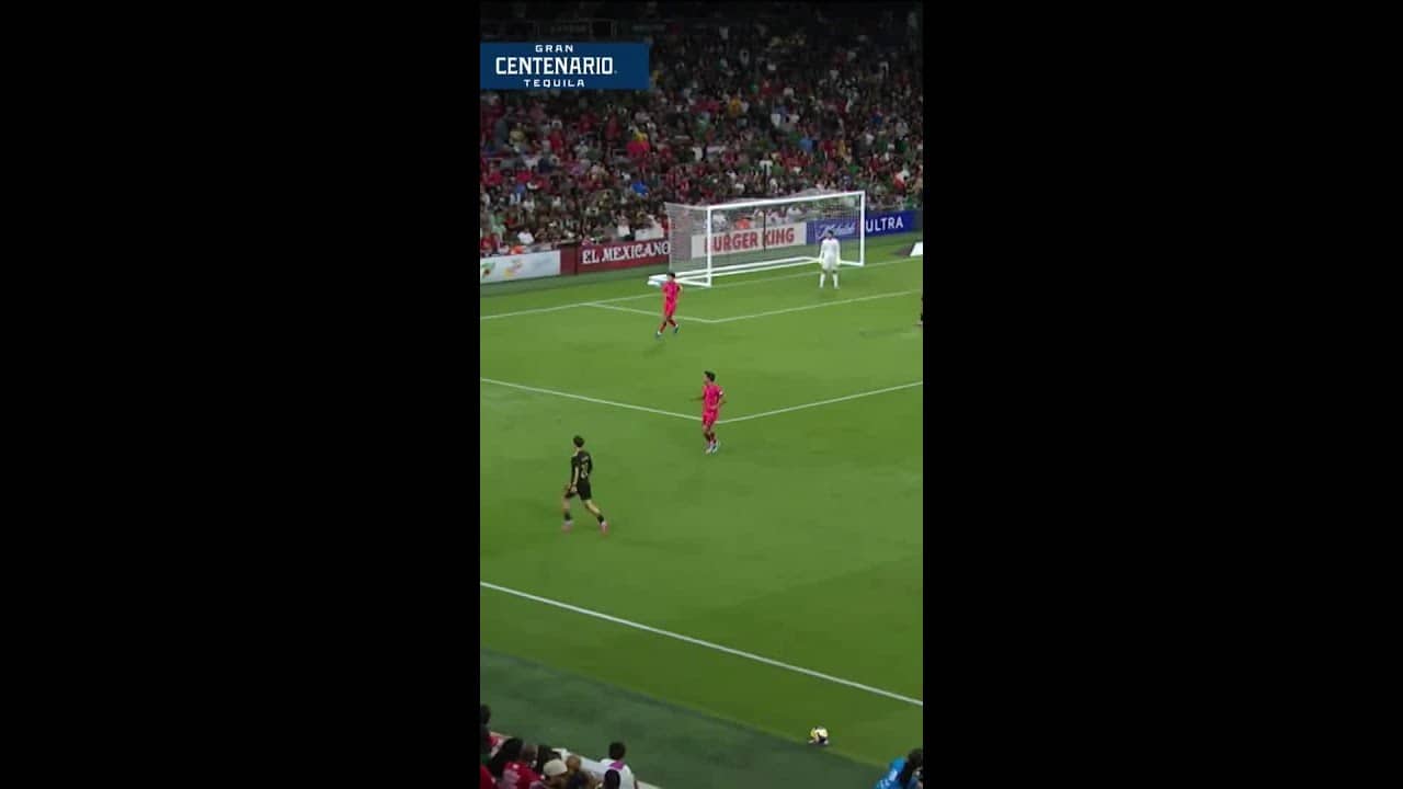 ¡GOL DE RAÚL JIMÉNEZ ANTE COREA DEL SUR! #shorts