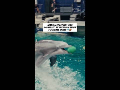 Marshawn Lynch Plays Catch With Georgia Aquarium Dolphins 🐬