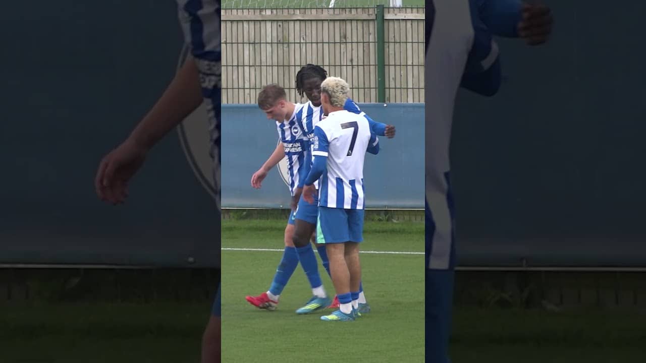 Under-21s put three past the Hammers #under21s #brightonandhovealbion #premierleague
