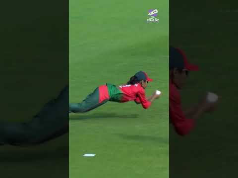 Sublime catching across the field in the #T20WorldCup @emirates Fly Better Moments 😍