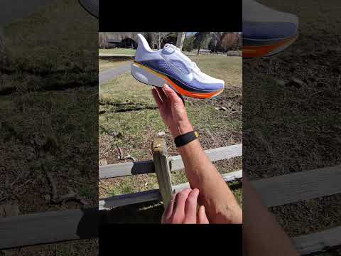 Nike Pegasus 42 in for Review. Details, Specs, Changes!
