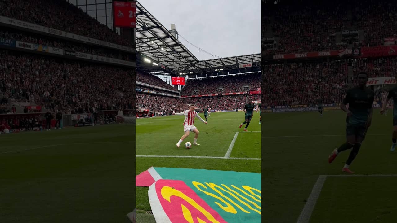 Admin POV: Alle 3 Tore von gestern 🤯✨ #effzeh
