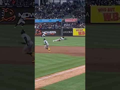 A diving catch from Jazz 🤯