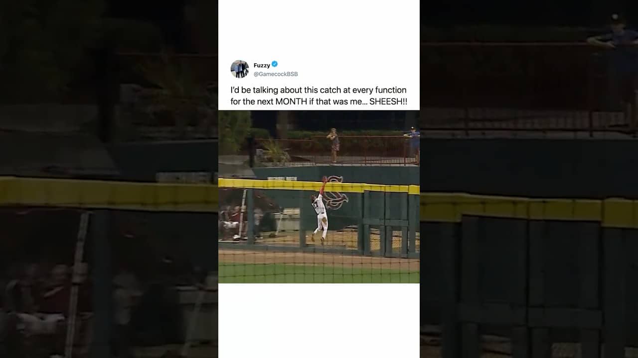 did he catch it? #baseball