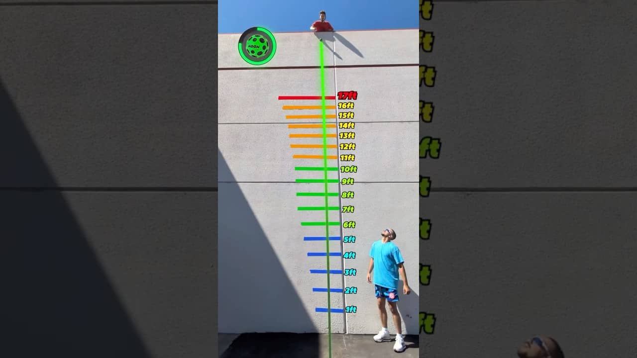 Which Ball Bounces the Highest?