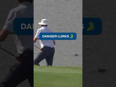 Keep your head on a swivel, Joel Dahmen 😳