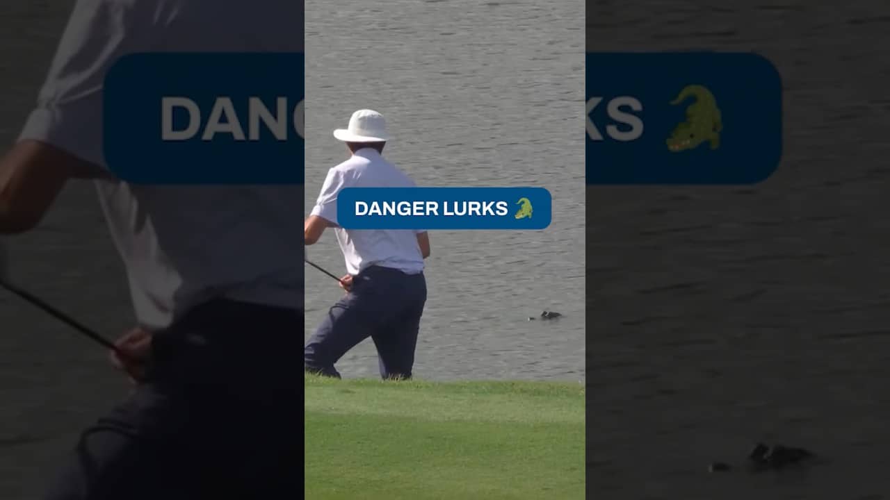 Keep your head on a swivel, Joel Dahmen 😳