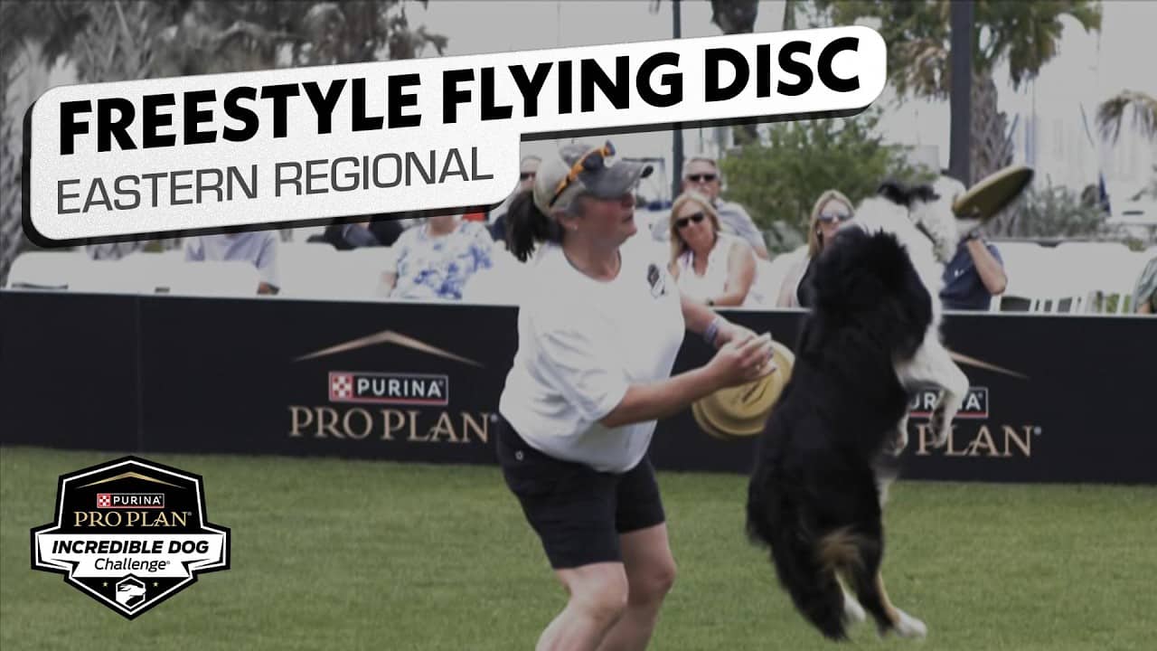 Incredible Dog Challenge 2026: Freestyle Flying Disc Competition Eastern Regional | NBC Sports