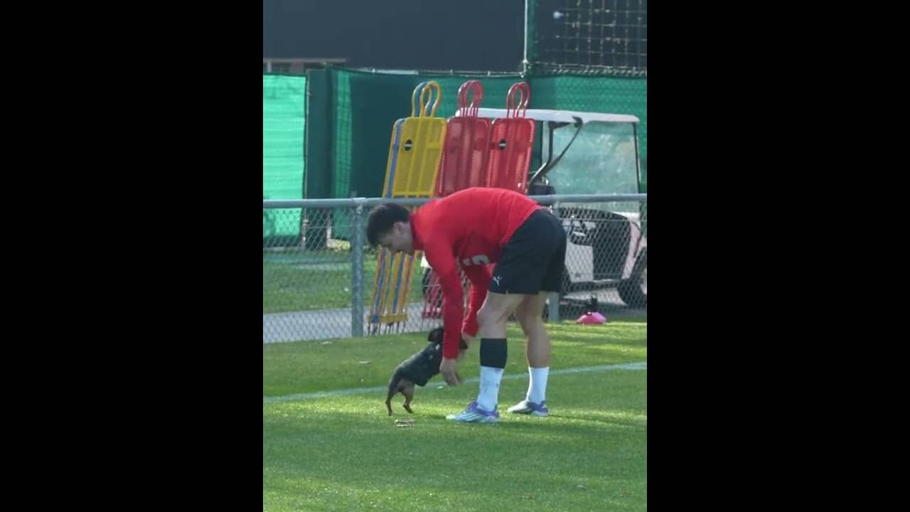 NAN YUKI GROS… #Staderennais #srfc #michou #nanyuki #ref