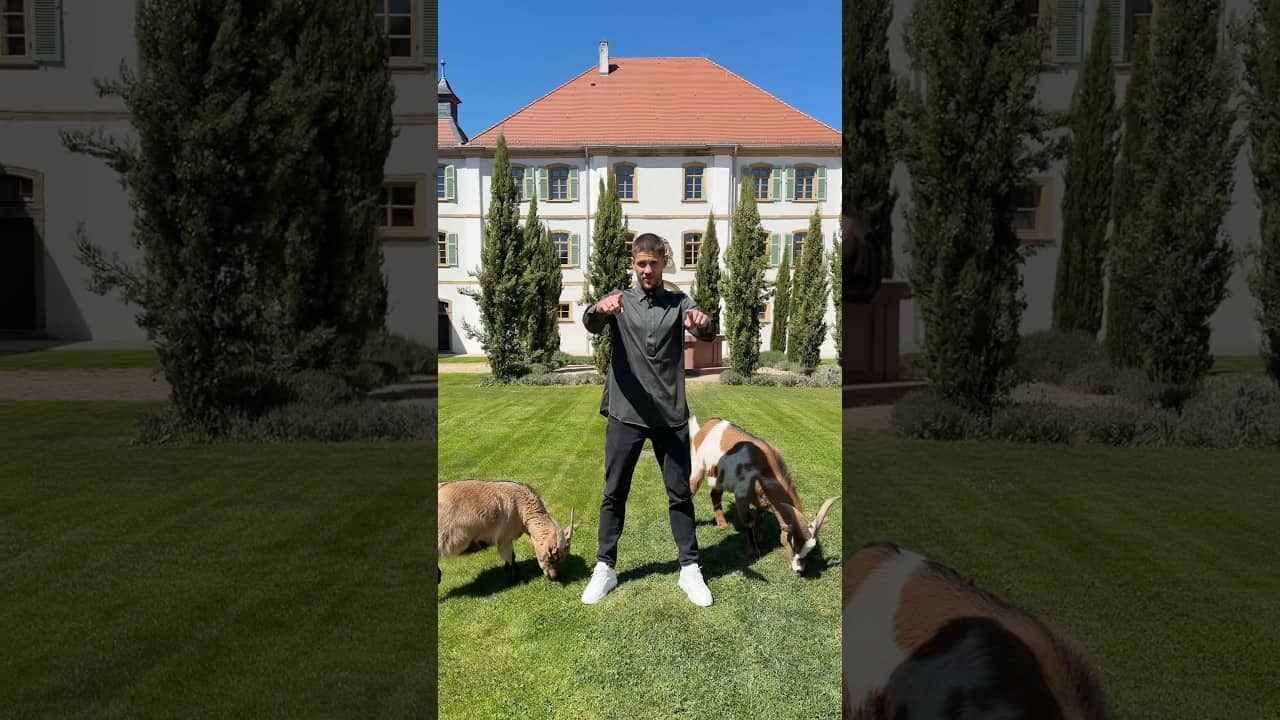 Andrej bleibt 🐐😍 #Hoffenheim #AndrejKramaric