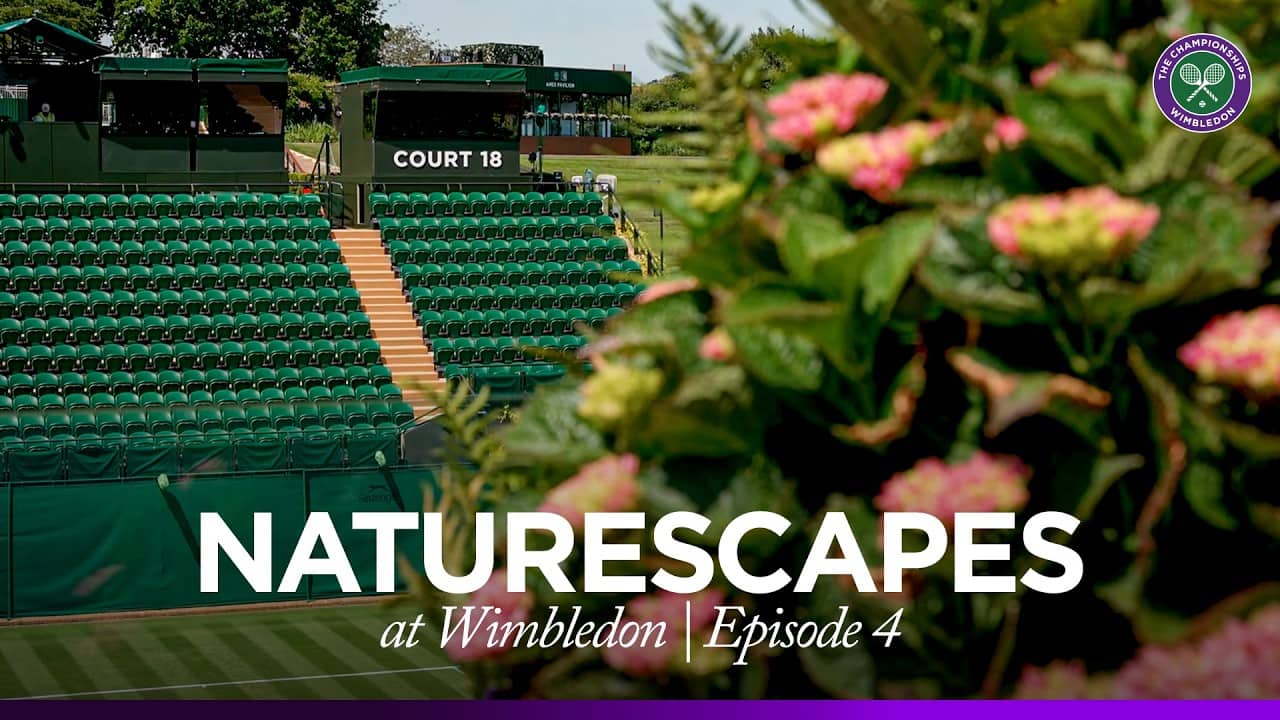 Wimbledon Naturescapes | 30 minutes of serenity by Court 18, including a little guest 🐝
