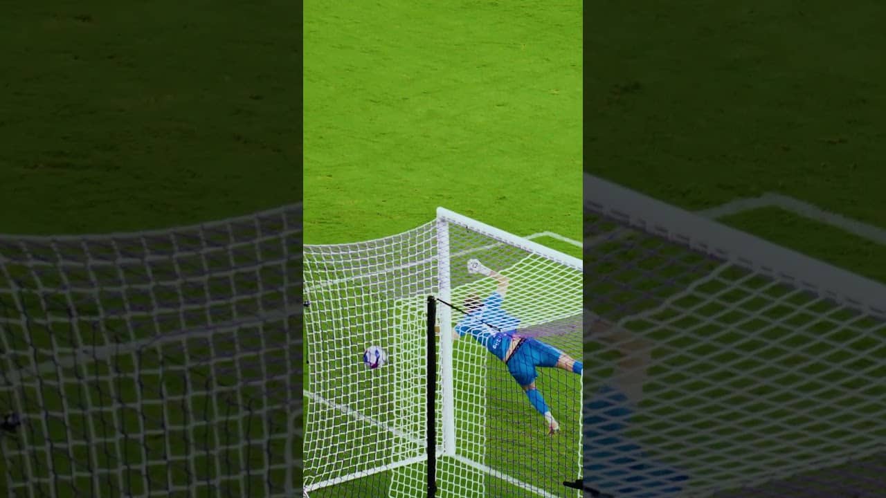 Take a Bow, Leicy Santos