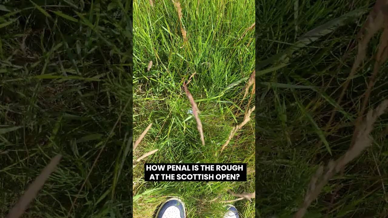The rough at the Scottish Open is looking pretty scary this week!