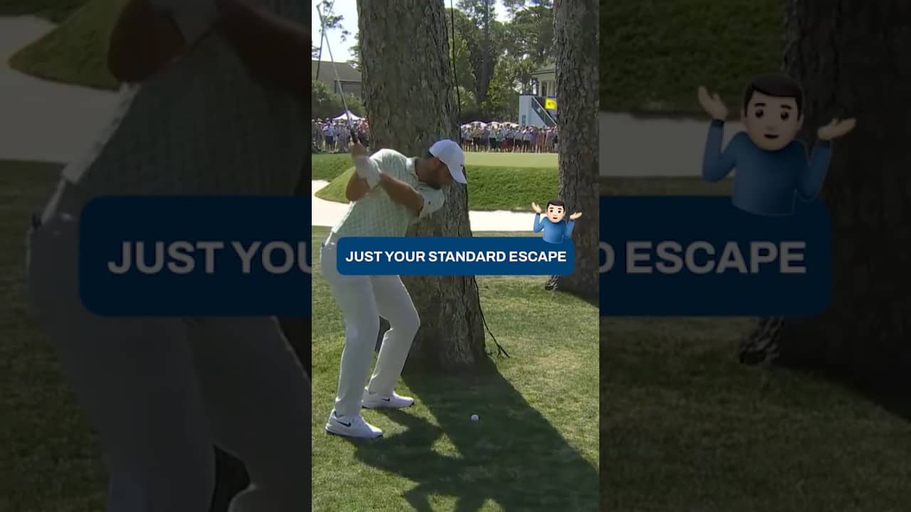 Scottie PERFECTION between the trees 🤯