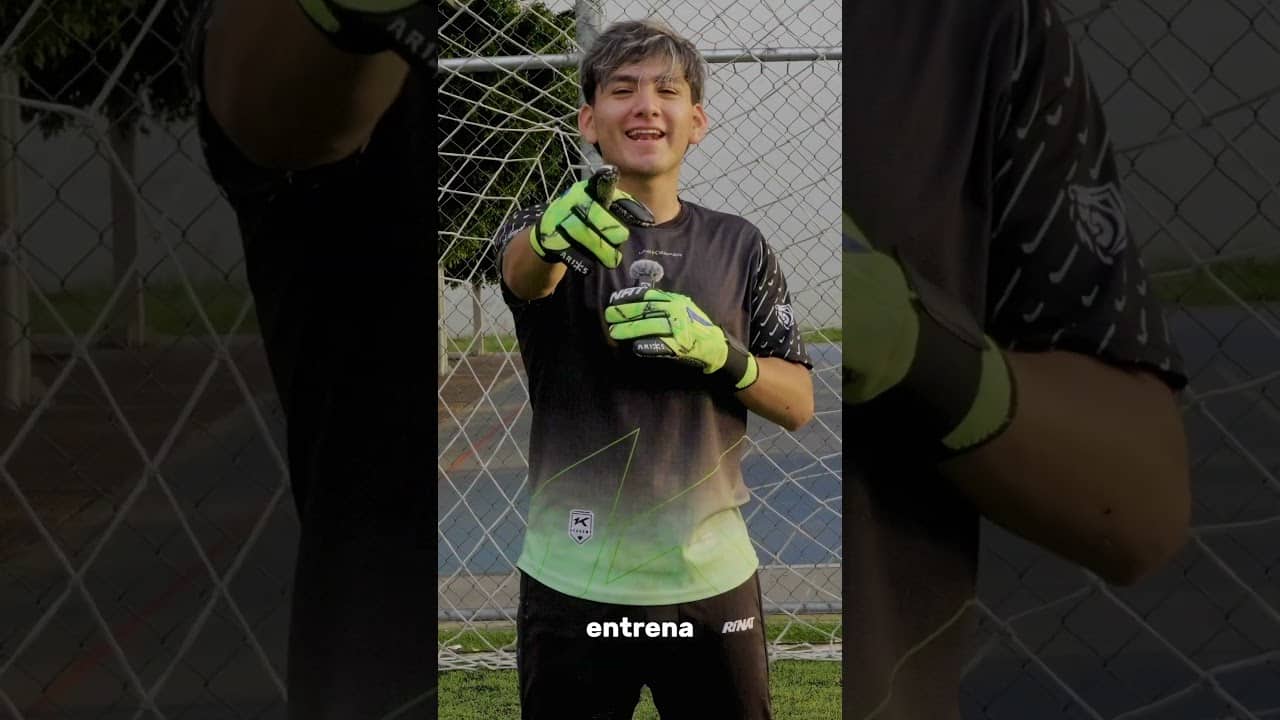 Tips para ser un profesional