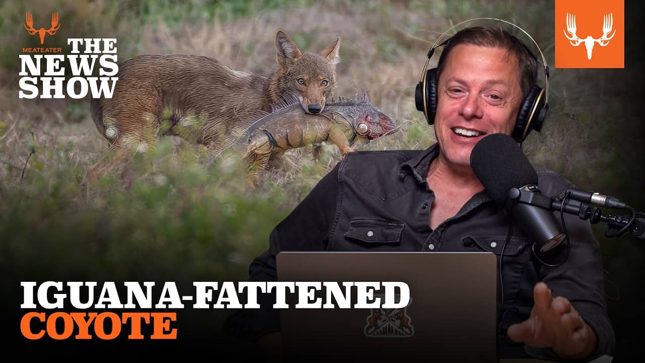 Trump’s Turkey Ammo, Venison at Wimbledon, and Death Threats in Alabama | The News Show Ep. 901