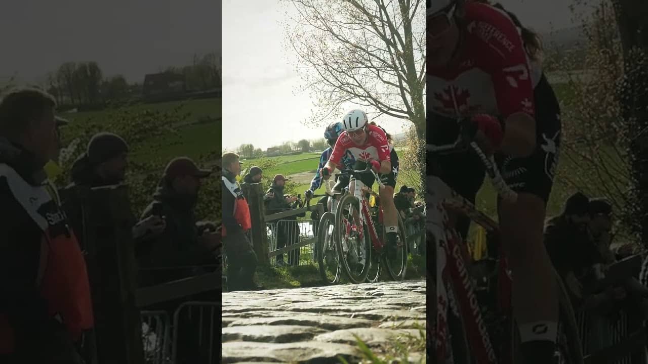 Climbing the cobbles on the SuperSix EVO 😮‍💨 #shorts