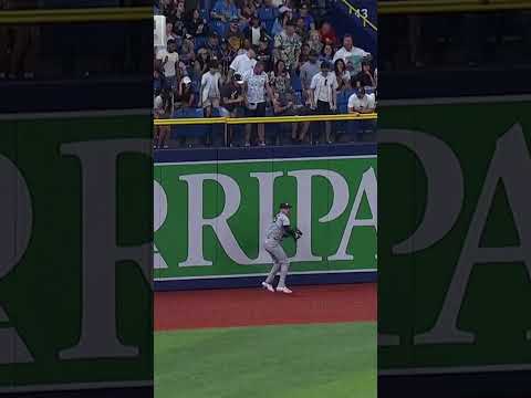 Cody Bellinger makes the leaping grab 👏