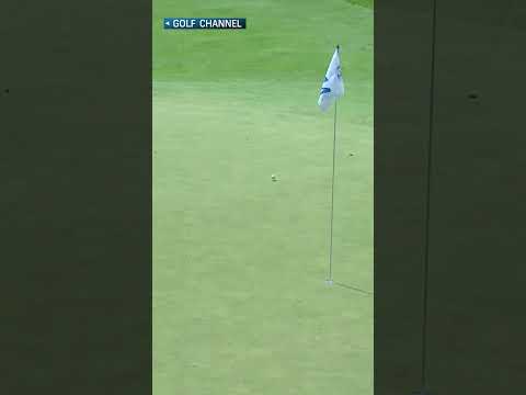 Jin Young Ko NAILS an eagle shot 😍⛳