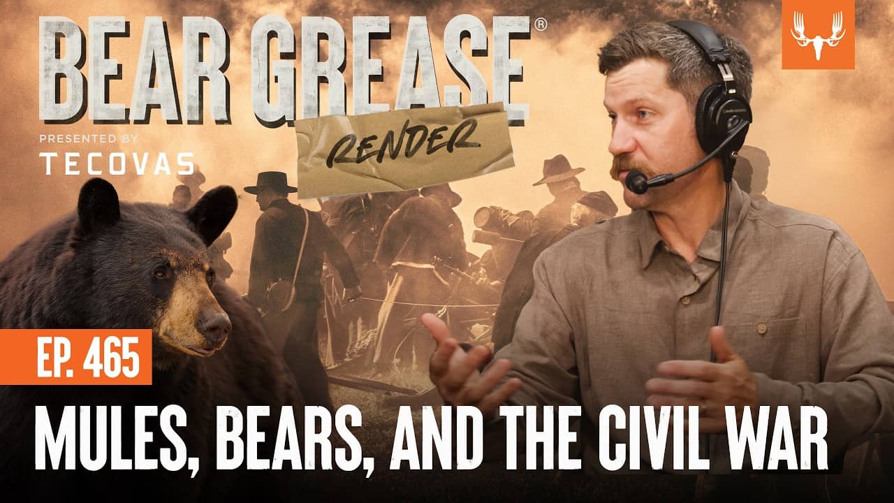 Mules, Bears, and the Civil War | Bear Grease Render Ep. 465