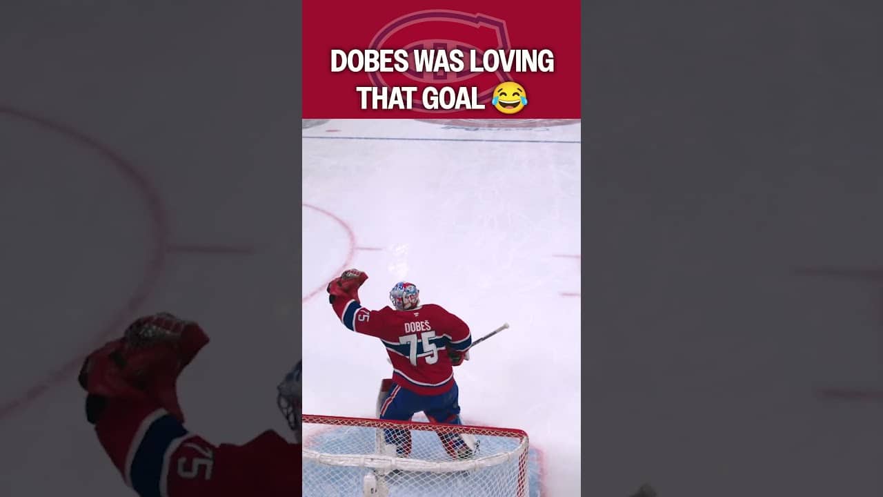 Dobes Started Chirping the Bench 😂
