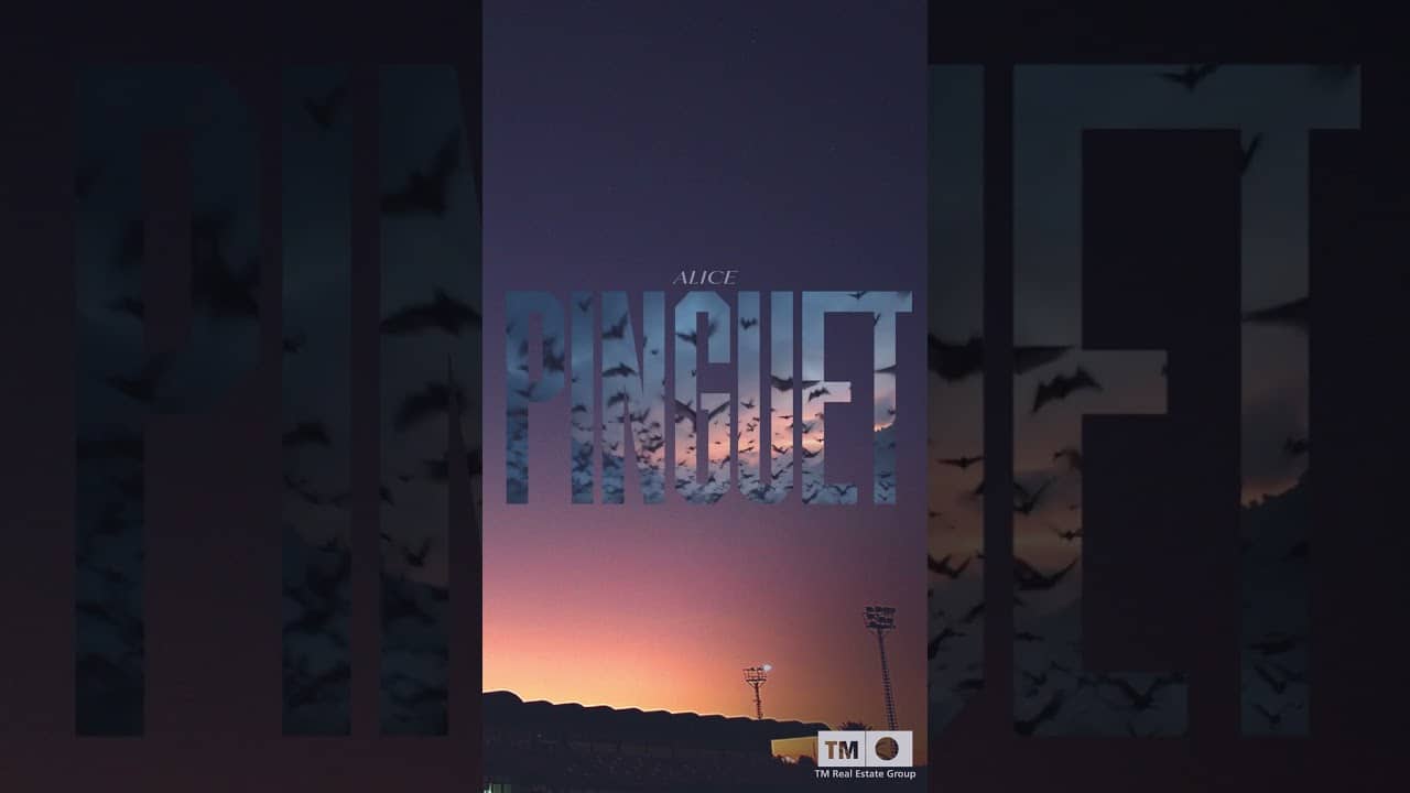 🔊 ¡Alice Pinguet tiene un mensaje para vosotros, afición! 😊