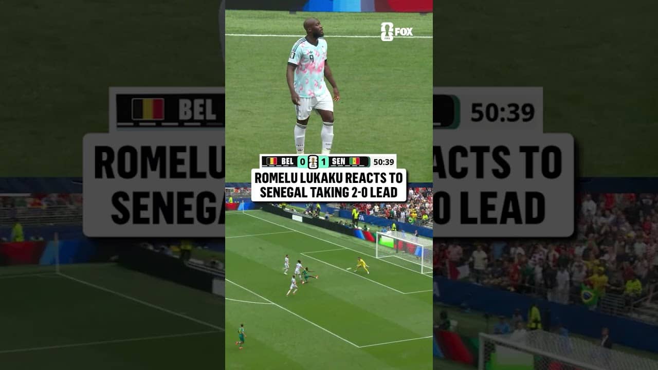 Lukaku was left in disbelief...