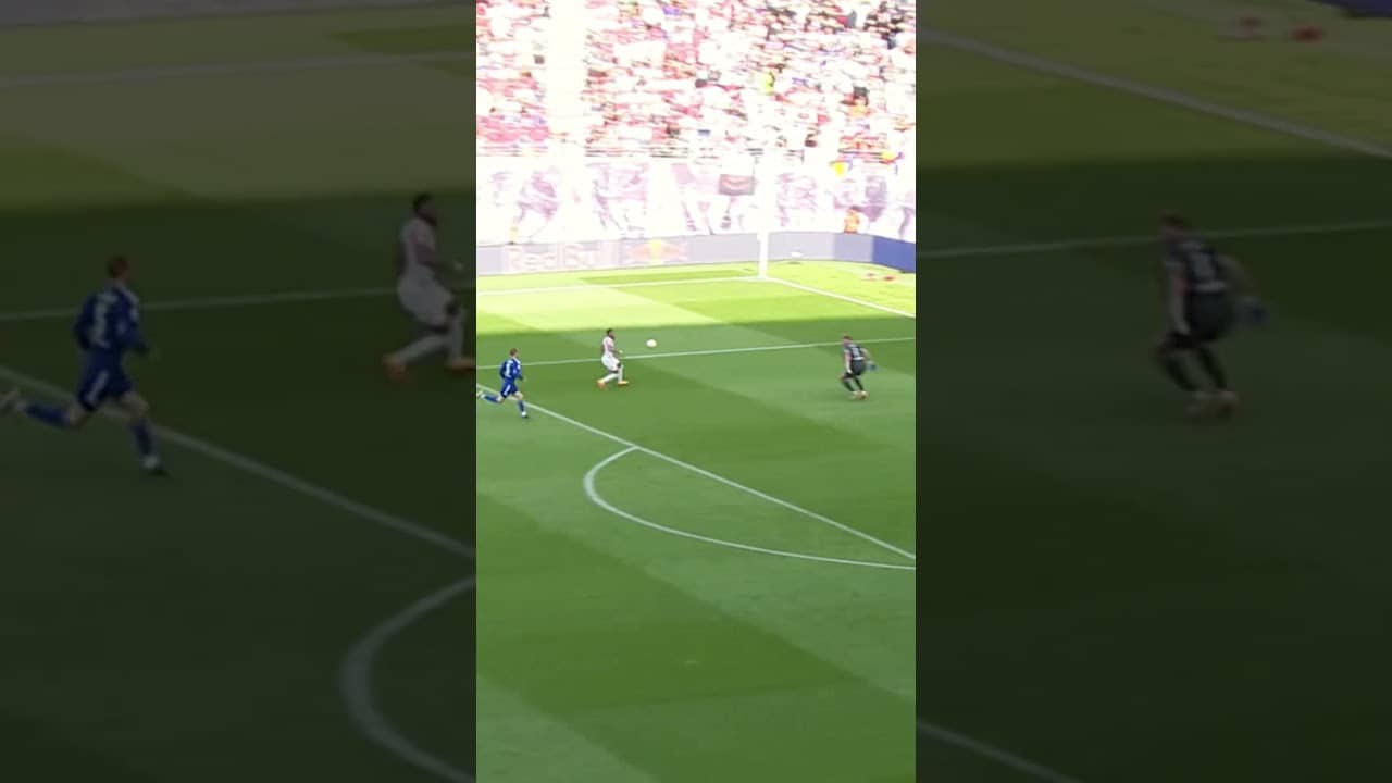 What can he not do??? 😮‍💨